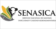 Colaboración de Agrya con SENASICA en proyectos agropecuarios para el campo mexicano
