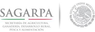 Asesoría técnica de Agrya con productores agrícolas en programa respaldado por SAGARPA
