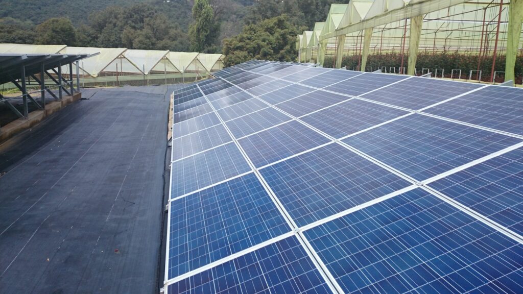 Instalación de paneles solares agrícolas realizada por Agrya hace varios años
